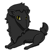 A Black Cat Preat Plush - Female Jelly's favorite toy